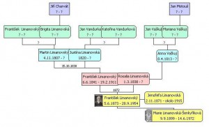 liman-diagram.jpg